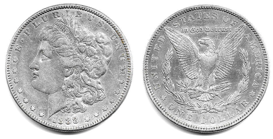 (110) Estados Unidos de América. 1888. 1 Dollar (MBC+/EBC-) (Plata)